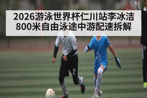2026游泳世界杯仁川站李冰洁800米自由泳途中游配速拆解